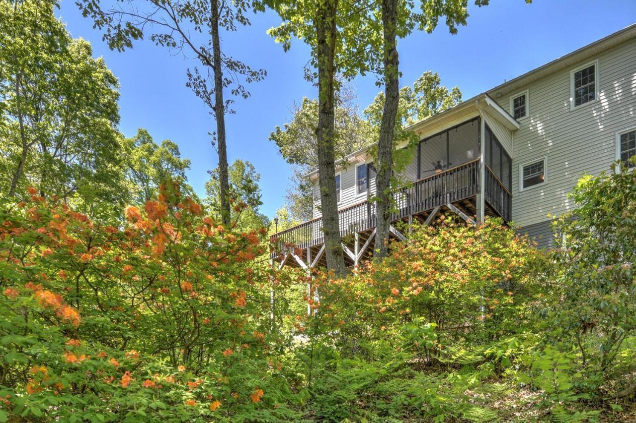 915 Town Mountain Rd Villa แอชวิลล์ ภายนอก รูปภาพ